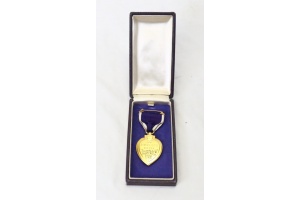 WW2 USN PURPLE HEART, USS COOPER KIA